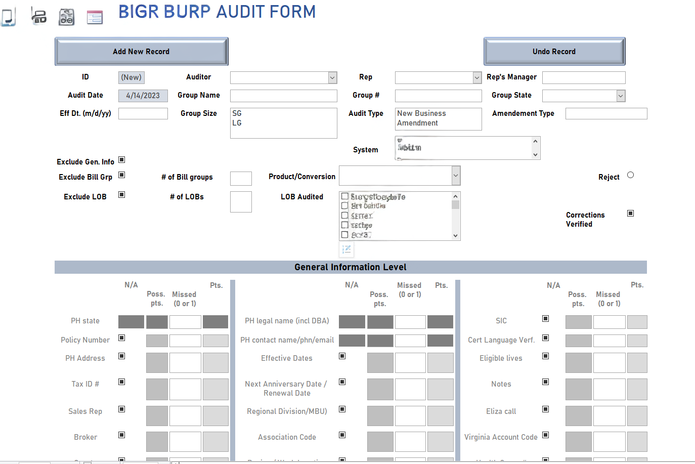 Microsoft Access audit form, original portfolio work sample